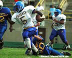 chipro_v_chicle000909r2f12