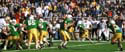 OLRic_v_NLPC011124r5f31