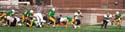 OLRic_v_NLPC011124r5f36