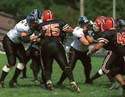 FLWE_v_PRMS020831r1f12