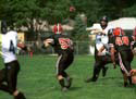 FLWE_v_PRMS020831r1f13