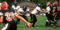 FLWE_v_PRMS020831r1f16