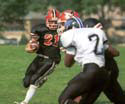 FLWE_v_PRMS020831r2f30