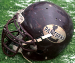 LeRoy Panthers football