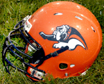 Mahomet-Seymour Bulldogs football