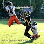 Illinois high school football